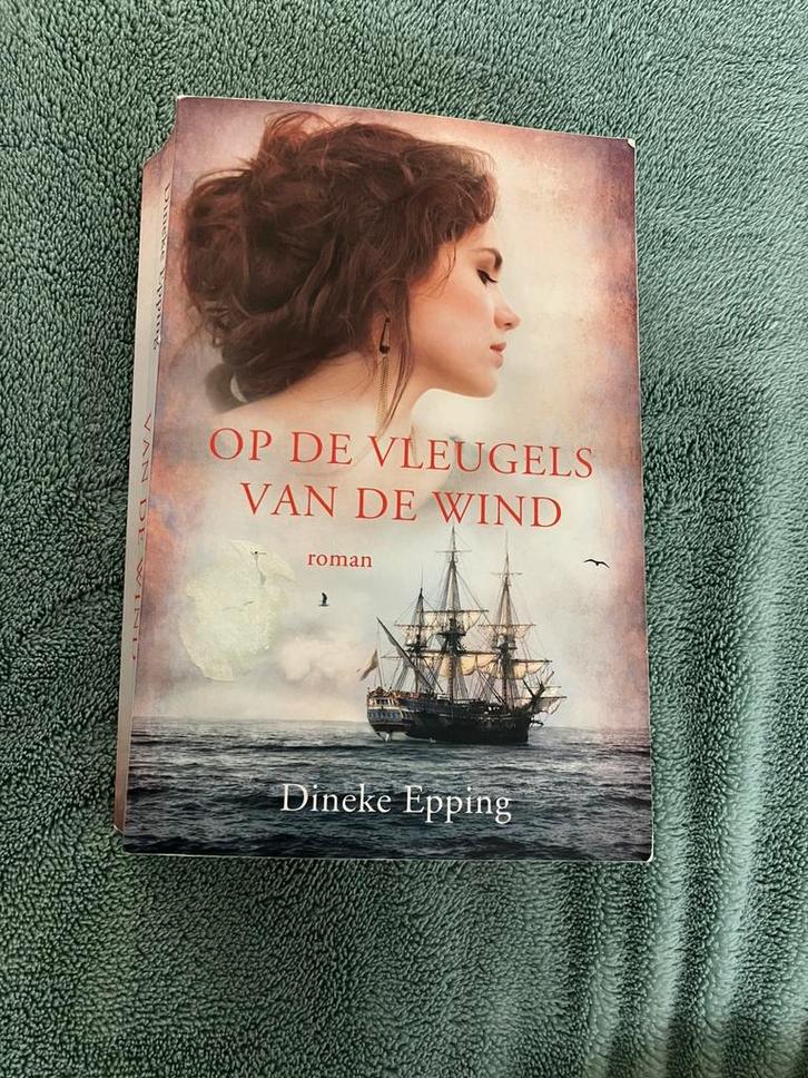 Dineke Epping - Op de vleugels van de wind, Boeken, Historische romans, Zo goed als nieuw, Ophalen of Verzenden