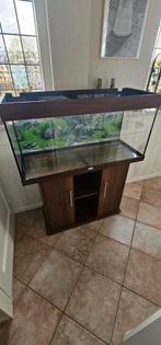 Juwel rio 180 aquarium te koop, Ophalen, Gebruikt, Leeg aquarium