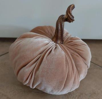 Velours Pompoen / Kalebas - Herfstdecoratie beschikbaar voor biedingen