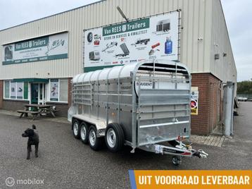NUGENT veetrailer schapentrailer dubbele laadvloer veewagen beschikbaar voor biedingen