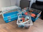 Hamsterkooien met veel extra’s, Kooi, Gebruikt, Minder dan 75 cm, Hamster
