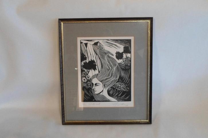 Steendruk Waterval, Antiek en Kunst, Kunst | Litho's en Zeefdrukken, Ophalen of Verzenden