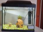 Superfish aquarium 20l, Dieren en Toebehoren, Ophalen, Zo goed als nieuw, Leeg aquarium