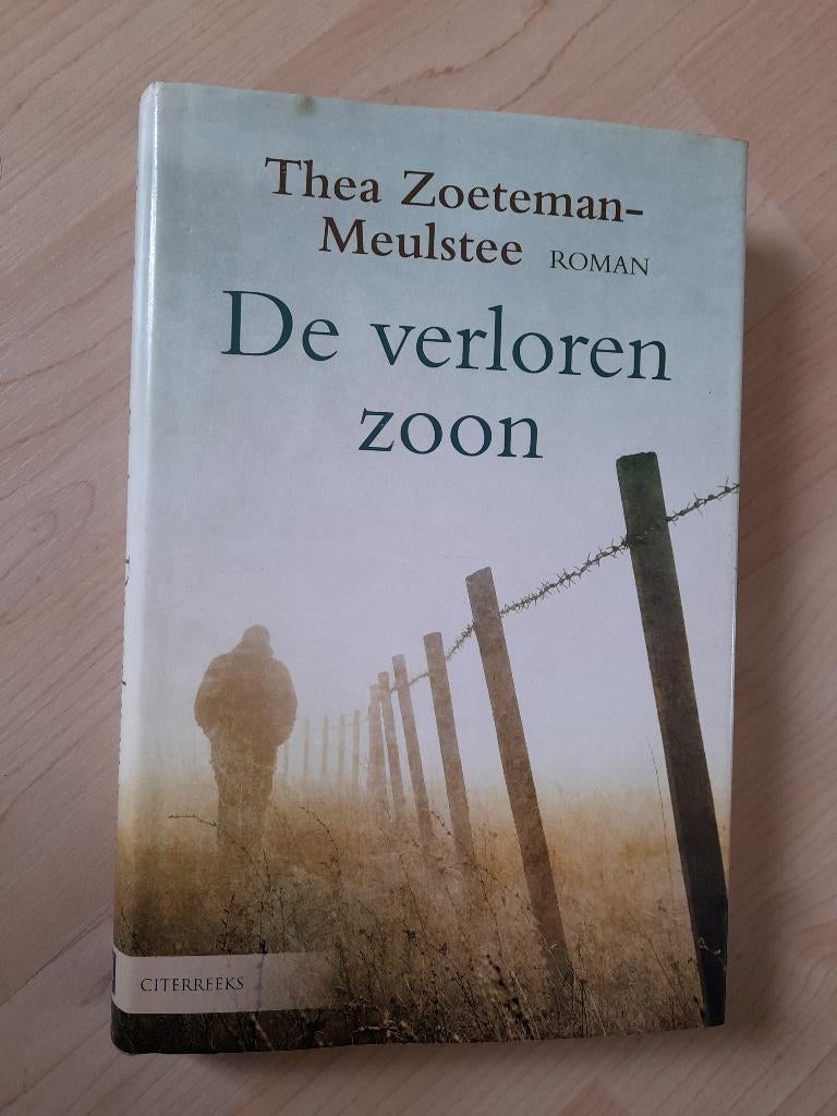 DE VERLOREN ZOON  Thea Zoeteman-Meulstee, Boeken, Romans, Ophalen of Verzenden, Gelezen, Nederland