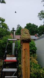 Insecten hotel met uniek sedumdak, Ophalen of Verzenden, Zomer, Volle zon, Overige soorten