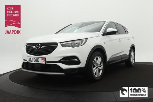 Opel Grandland X BWJ 2020 1.2 131 PK Turbo Business Executiv, Auto's, Opel, Bedrijf, Te koop, Grandland X, ABS, Achteruitrijcamera