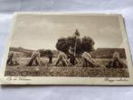 Oude ansichtkaart: De Veluwe - Rogge inhalen, Ophalen of Verzenden, Voor 1920, Gelopen