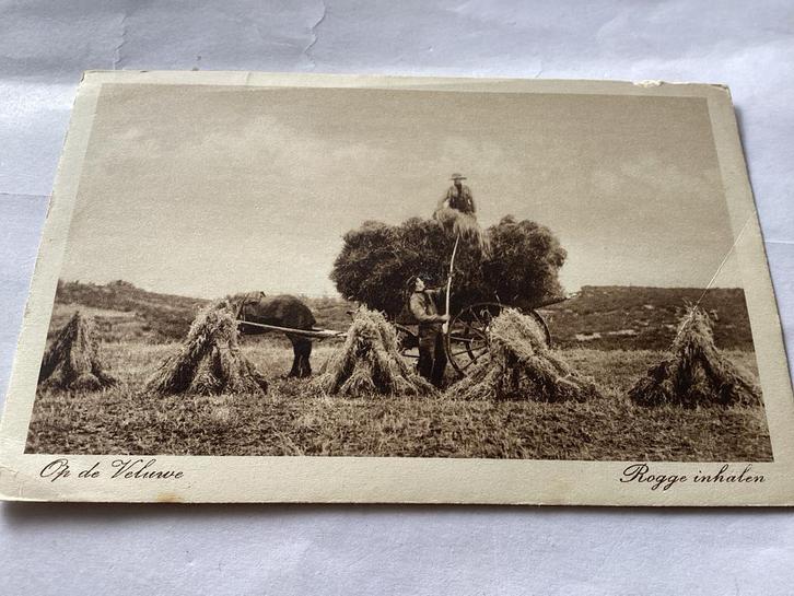 Oude ansichtkaart: De Veluwe - Rogge inhalen, Verzamelen, Ansichtkaarten | Nederland, Gelopen, Voor 1920, Ophalen of Verzenden