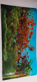 Aquarium Achtergrond - Mooie Decoratie, Dieren en Toebehoren, Vissen | Aquaria en Toebehoren, Ophalen of Verzenden, Nieuw