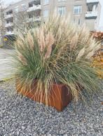 Metalen plantenbak met siergras, Ophalen, Volle zon, Vaste plant, Siergrassen