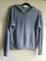 Morgan hoody /trui maat M nieuwstaat, Ophalen of Verzenden, Zo goed als nieuw, Maat 38/40 (M)