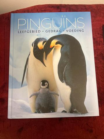 Pinguïns - Leefgebied, Gedrag, Voeding beschikbaar voor biedingen