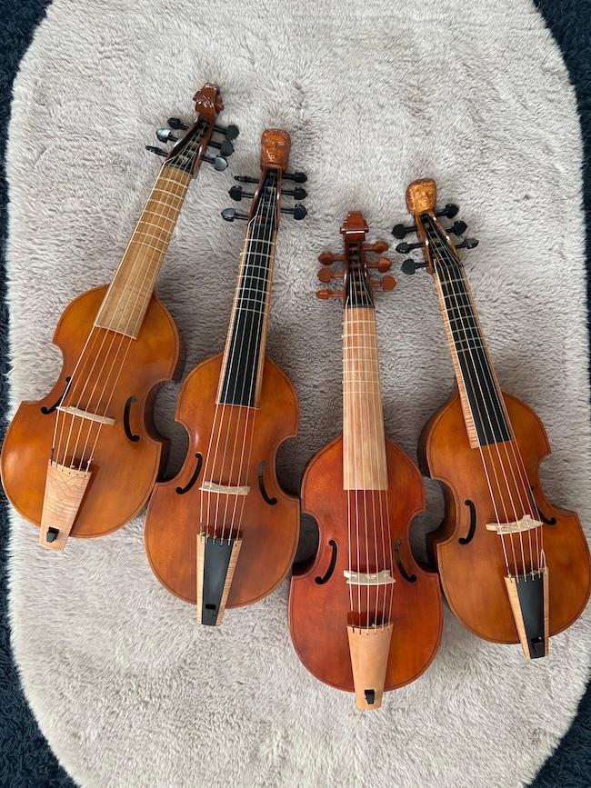 Diskantgambe - treble viola da gamba, Muziek en Instrumenten, Strijkinstrumenten | Overige, Nieuw, Ophalen of Verzenden