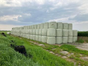kuilbalen voor geiten en koeien. beschikbaar voor biedingen