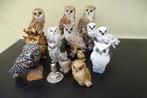 15 Uilen beeldjes, Ophalen of Verzenden, Zo goed als nieuw, Overige soorten, Beeldje of Figuurtje
