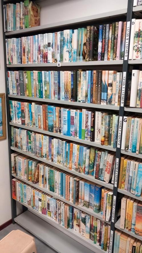 Streekromans en Leesboeken - Kringloop Lichtpuntloods, Boeken, Streekboeken en Streekromans, Gelezen, Friesland, Ophalen