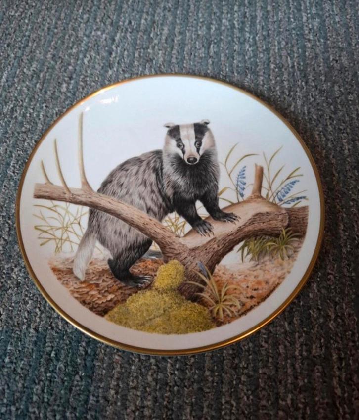 Wedgwood porseleinen bord " Das" by Patrick A. Oxenham, Antiek en Kunst, Antiek | Wandborden en Tegels, Ophalen of Verzenden