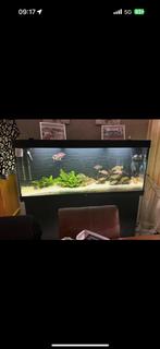 juwel rio 450, Dieren en Toebehoren, Vissen | Aquaria en Toebehoren, Ophalen, Gebruikt, Leeg aquarium