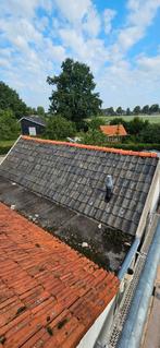 Hollandse holle oude dakpannen, Ophalen, Steen of Klei, Blauw, Dakpannen