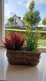 Prachtige kunstplanten nieuw, Ophalen of Verzenden, Nieuw