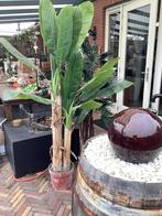 Kunst bananen plant, Ophalen