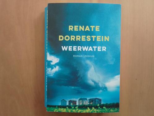 Grote Nederlandse literatuur collectie, Boeken, Literatuur, Zo goed als nieuw, Nederland, Ophalen of Verzenden