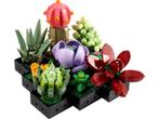 Lego Botanicals- Vetplanten 10309, Kinderen en Baby's, Speelgoed | Duplo en Lego, Verzenden, Zo goed als nieuw, Complete set, Lego