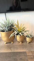 Bloempotten vazen goud, Rond, Ophalen of Verzenden, Zo goed als nieuw, Aardewerk