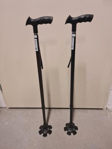 Zelf staande wandelstok met anti slip dop beschikbaar voor biedingen