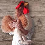 Enorme kip reclame object knuffel 60 cm 1209, Schippers, Gebruikt, -, -