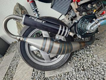 polini evo stage 6 top performance binnenrotor beschikbaar voor biedingen