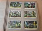 Album Liebig met 48 series van 6, Verzamelen, Gebruikt, Ophalen of Verzenden, Voor 1940, Prent
