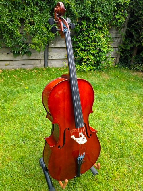 cello kwart 1/4 - massief, Muziek en Instrumenten, Strijkinstrumenten | Cello's, Gebruikt, Ophalen