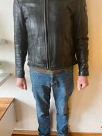 motorkleding, Ophalen, Heren, MQP, Jas | leer