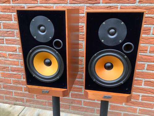 ✅ ASW Sonus DC 70 Limited Luidsprekers ( Top Conditie ) 🎶, Audio, Tv en Foto, Luidsprekers, Gebruikt, Front, Rear of Stereo speakers