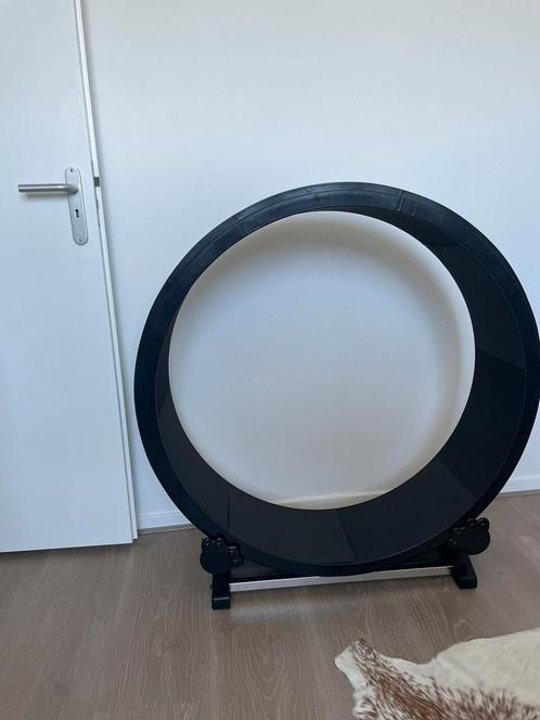 Petlux looprad/loopwiel voor kat. Nieuw!, Dieren en Toebehoren, Katten-accessoires, Nieuw, Ophalen