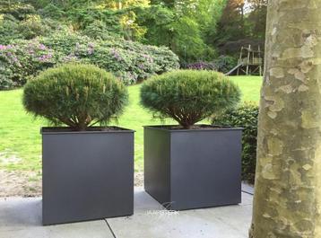 3 stuks Stalen Boombakken 80x80x80 cm beschikbaar voor biedingen