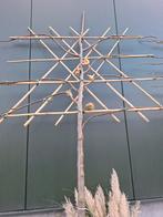 Leilinde (Tilia palida) - Stamhoogte 170cm, Ophalen, Volle zon, Leiboom, 250 tot 400 cm