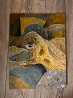 Zeehond Schilderij, Ophalen of Verzenden