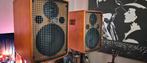 Schertler Jam 150 wood + extension, complete akoestische PA, Muziek en Instrumenten, Ophalen, Gebruikt, Gitaar, 100 watt of meer