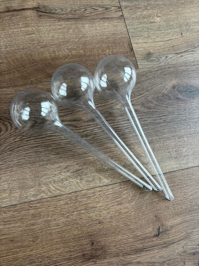 12x waterdruppelaar, Ophalen of Verzenden, Halfschaduw, Minder dan 100 cm