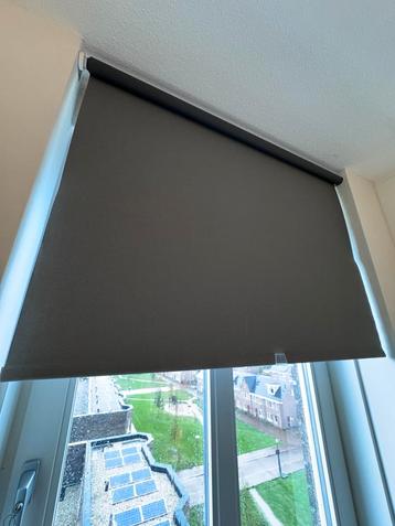 Roldordijn - 105 cm breed beschikbaar voor biedingen