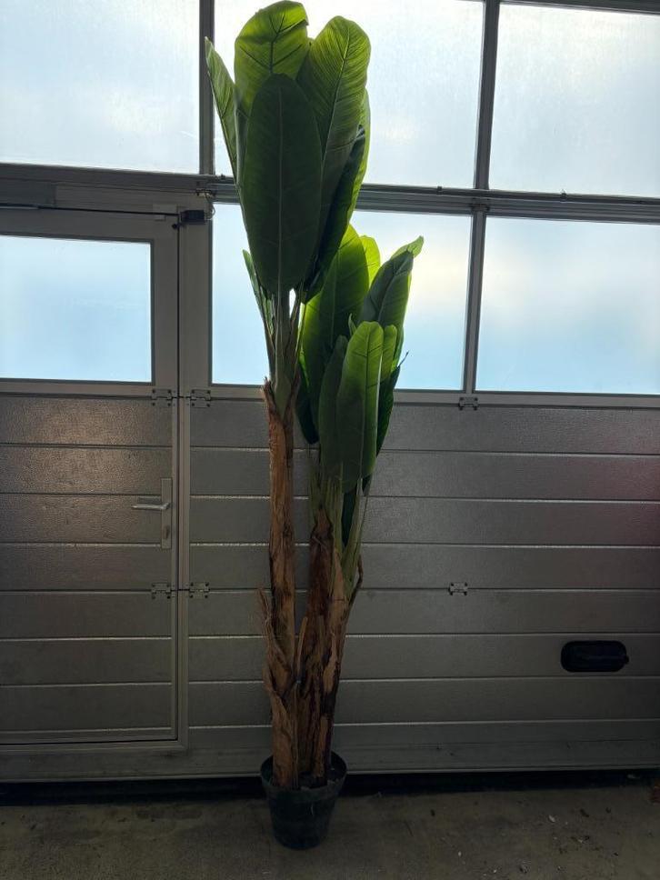 Kunstplant bananenboom - 240cm - 3 stuks, Huis en Inrichting, Woonaccessoires | Kunstplanten en Kunstbloemen, Zo goed als nieuw