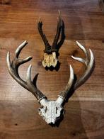 Twee leuke geweitjes, Verzenden