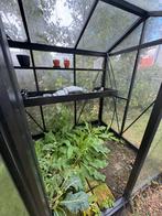 Van Vliet hobbykas – zwart aluminium, glas, sierlijk design, Tuin en Terras, Ophalen, Glas, Zo goed als nieuw, Aluminium