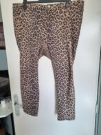 Broek mt50 panterprint, Ophalen of Verzenden, Zo goed als nieuw, Maat 46/48 (XL) of groter, Overige kleuren