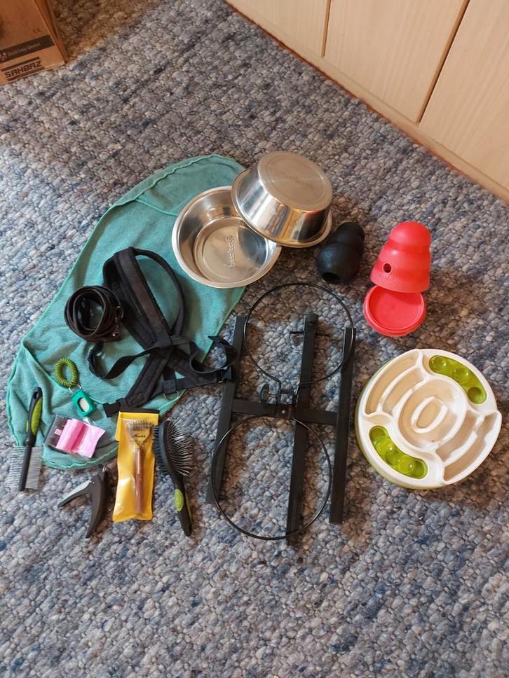 Hond groot - starterspakket, Dieren en Toebehoren, Honden-accessoires, Ophalen