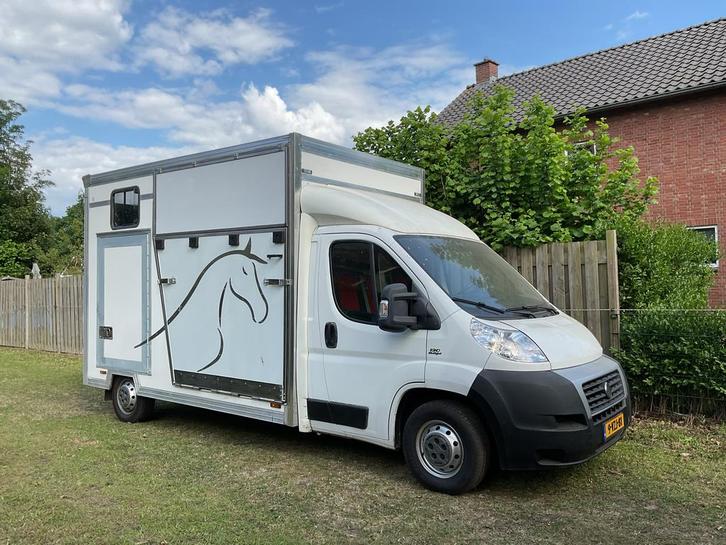 B-rijbewijs paardenvrachtwagen Fiat 2012, Dieren en Toebehoren, Paarden en Pony's | Trailers en Aanhangwagens, Ophalen