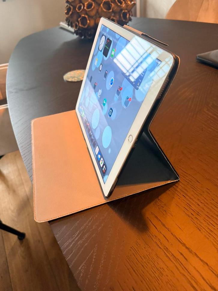 Apple iPad Pro (12,9 inch) met doos en hoes. Nette staat!, Computers en Software, Apple iPads, Gebruikt, Apple iPad Pro, Wi-Fi en Mobiel internet