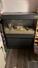 Terrarium, Dieren en Toebehoren, Ophalen, Kooi, Gebruikt, Hamster